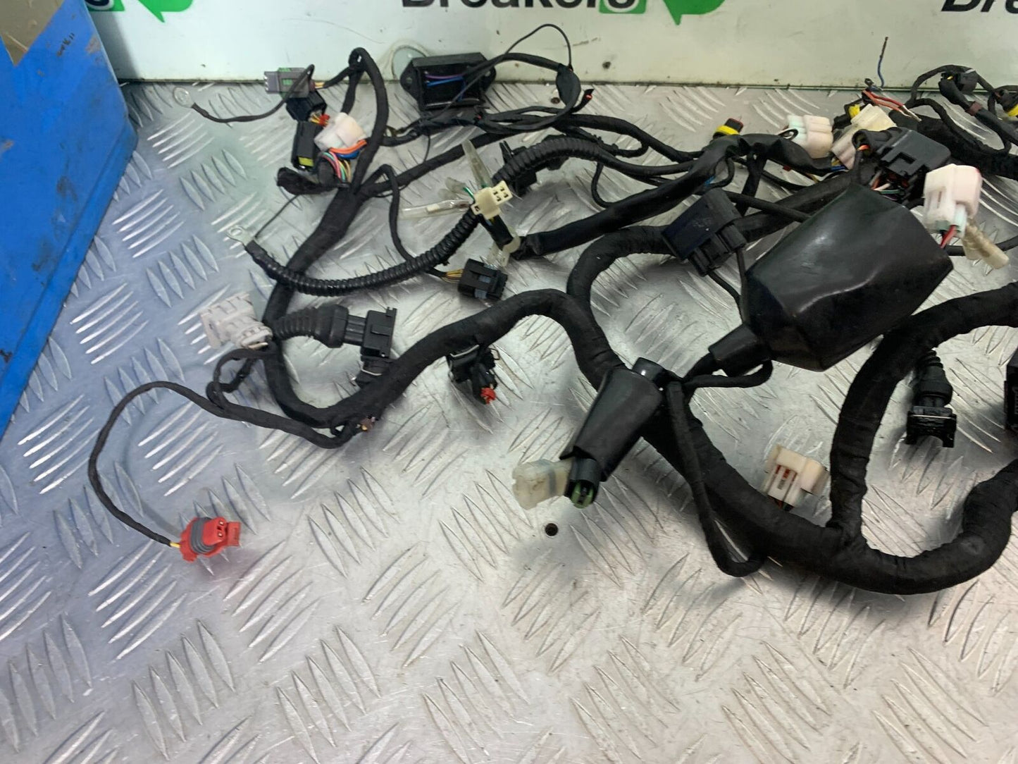 BENELLI LEONCINO 500 TRIAL WIRING LOOM YEAR 2020 (CMB1106)