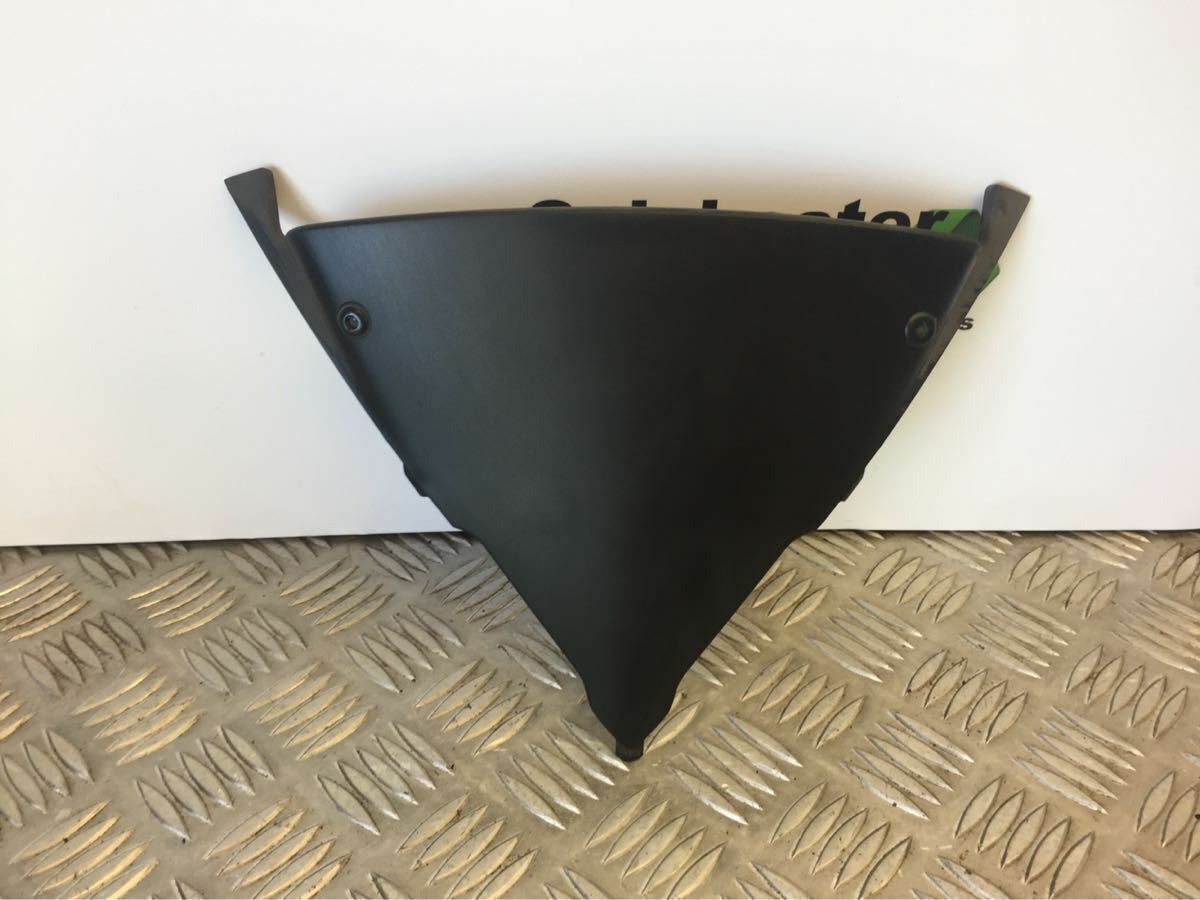 KAWASAKI ER6 2010 ER6F ER-6F ER 6F SCREEN INFILL PANEL YEAR 2010