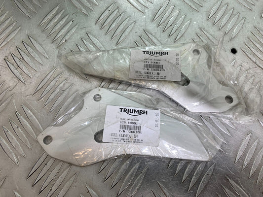 TRIUMPH 1050 SPEED TRIPLE RS LEFT & RIGHT HEEL PLATES YEAR 2018-2020 (CMB1029)