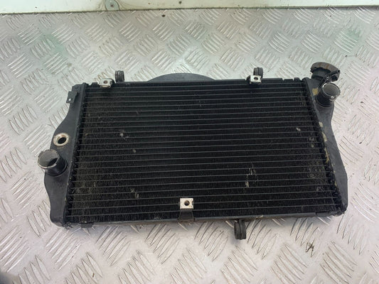 HONDA CBR1100 BLACKBIRD RADIATOR  YEAR 1999-2005 (CMB1103)