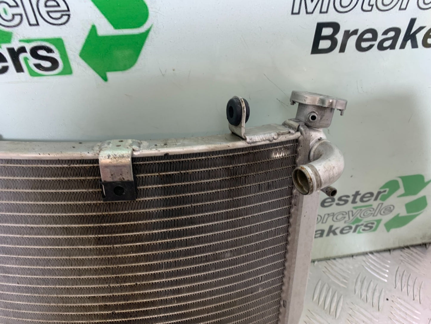 MV AGUSTA 800 F3 RADIATOR  YEAR 2017-2019 (CMB1227)