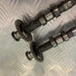 TRIUMPH 1050 SPRINT CAMSHAFTS YEAR 2004-2007 (STOCK 956)