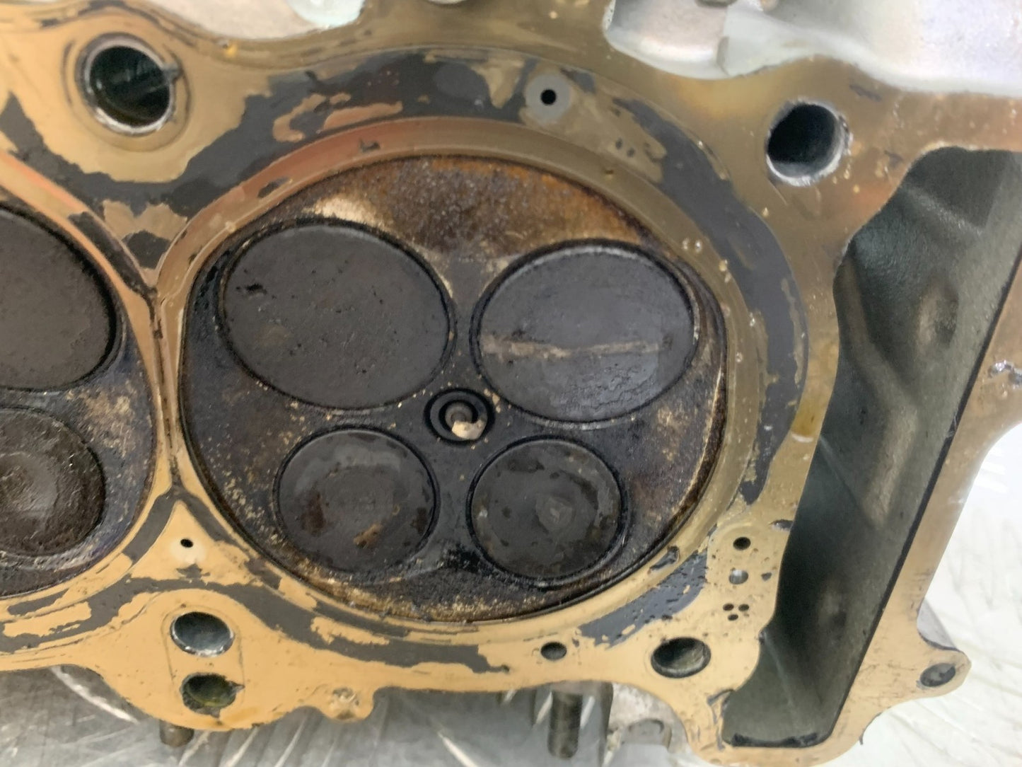 HONDA CBR1000 rr FIREBLADE CYLINDER HEAD AND CAMS   2008-2011 (CMB1253)