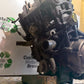 HONDA CB650F CB 650 FA-E ENGINE YEAR 2014-2017 (CMB1226)