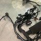 TRIUMPH 675 STREET TRIPLE RX WIRING LOOM  YEAR  2015-17 (STOCK 971)