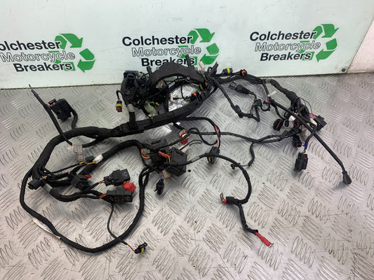 APRILIA RS660 RS 660 WIRING LOOM   YEAR 2020-2024 (CMB1202)