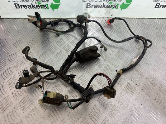 HONDA CBF125 CBF 125 WIRING LOOM YEAR 2009-14 (CMB1182)
