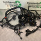 TRIUMPH TIGER 800 XCX WIRING LOOM   YEAR 2015-2017  (STOCK 966)