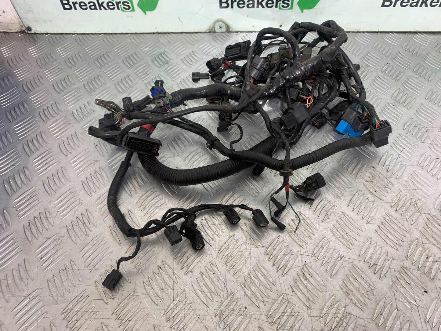 TRIUMPH TIGER 800 XRT WIRING LOOM   2018-2020 (CMB1193)