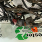 HONDA CBF600 CBF 600 WIRING LOOM YEAR 2004-07  (CMB1305)