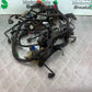 HONDA CBF600 CBF 600 WIRING LOOM YEAR 2004-07  (CMB1305)