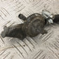 DUCATI MONSTER 600 PETROL TAP   YEAR 1994-2001 (STOCK 850)