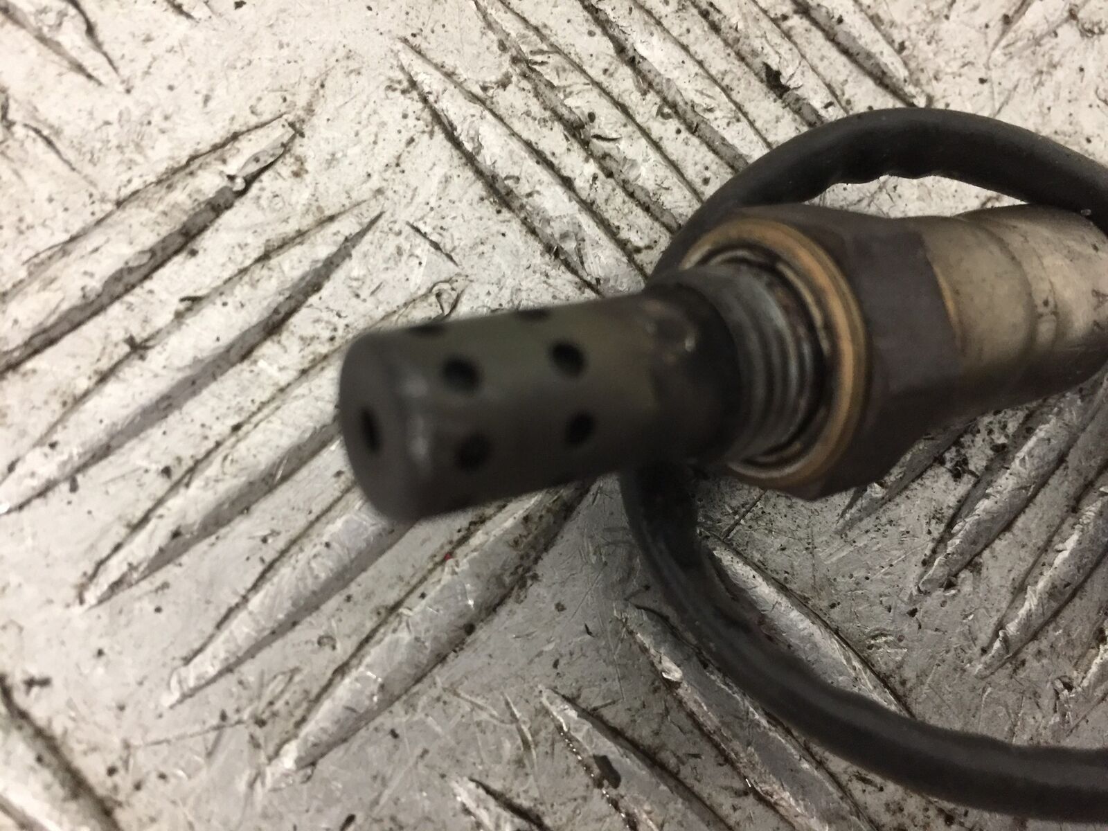 TRIUMPH 900 STREET SCRAMBLER OXYGEN SENSOR YEAR 2018 (STOCK 896)