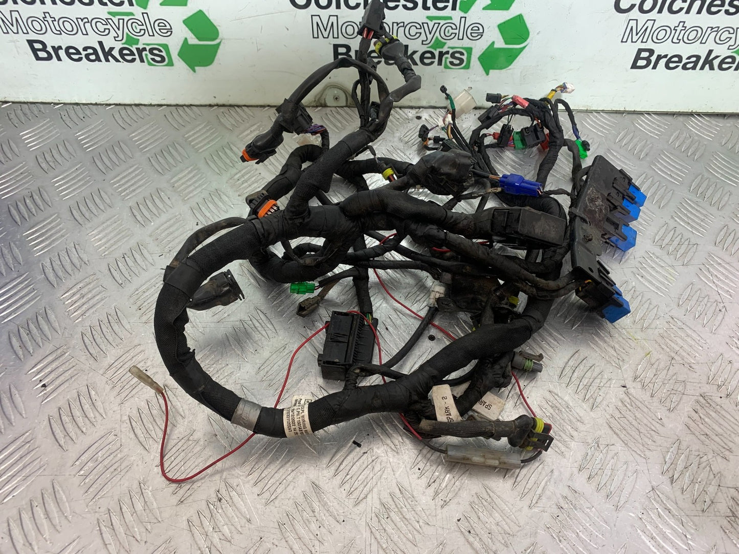 BSA 650 GOLD STAR WIRING LOOM  YEAR 2022-2025 (CMB1262)