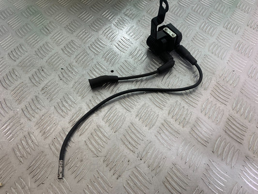 HARLEY DAVIDSON XL883 N IRON COILS  YEAR 2020  (CMB1116)