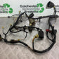 HONDA NT650 V DEAUVILLE WIRING LOOM  YEAR 1998-01(CMB1320)