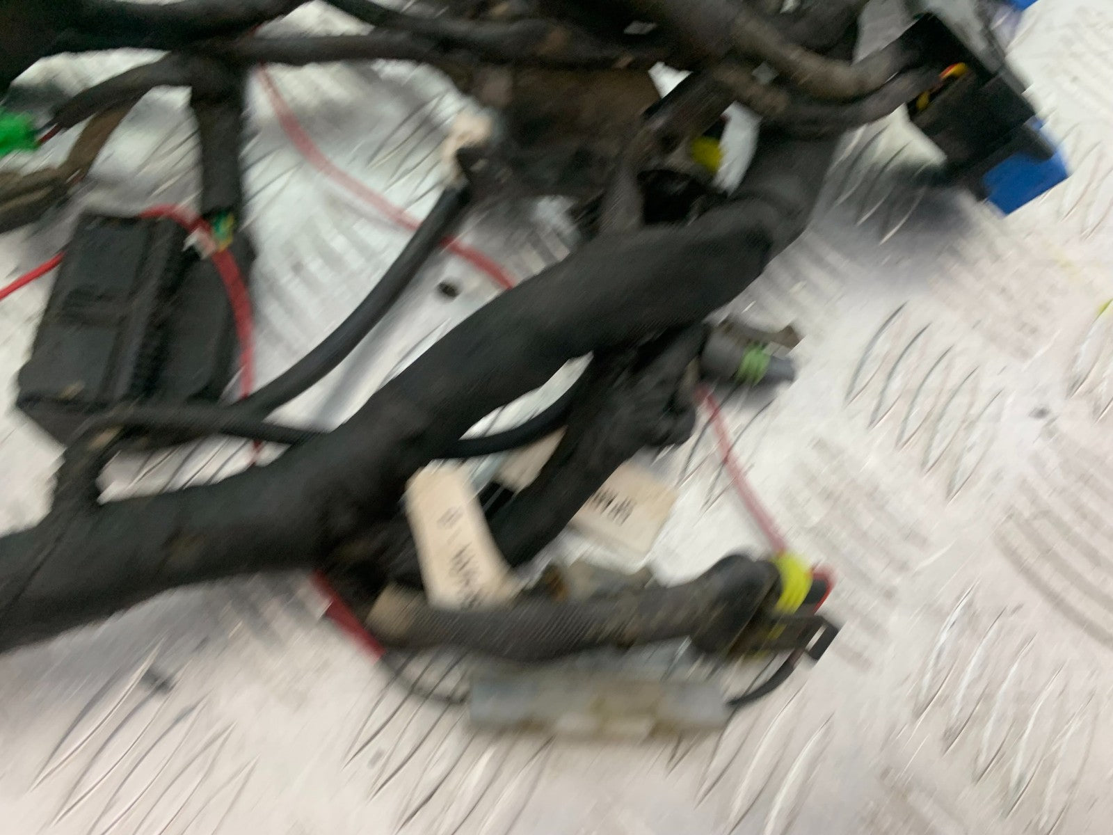 BSA 650 GOLD STAR WIRING LOOM  YEAR 2022-2025 (CMB1262)