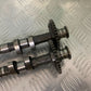 TRIUMPH 885 TIGER CAMSHAFTS  YEAR 2000