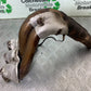 MV AGUSTA 675 F3 EXHAUST DOWNPIPE YEAR 2012-2016 (CMB1302)