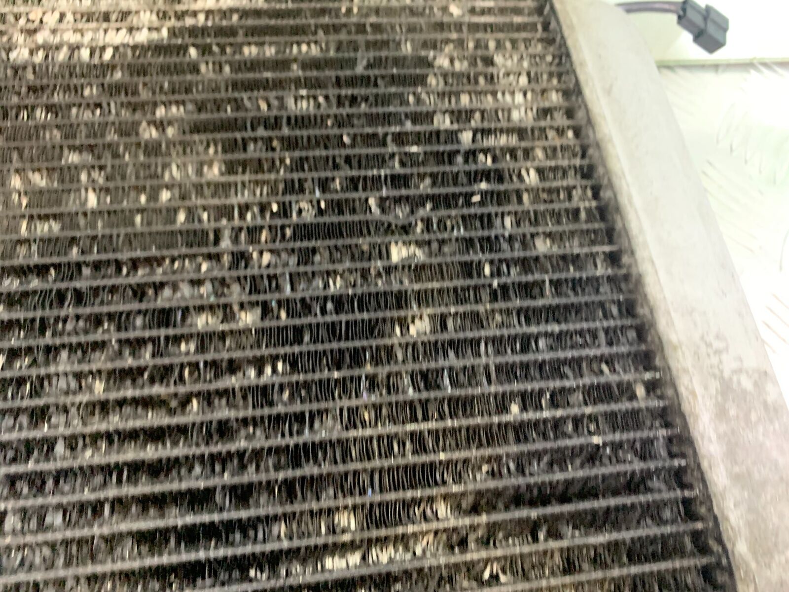 KAWASAKI ZX12R ZX12 R RADIATOR  YEAR 2000-01 (CMB1038)
