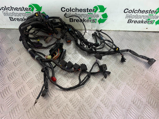 TRIUMPH SPEED TRIPLE R 1050 WIRING LOOM 2009 (CMB1183)