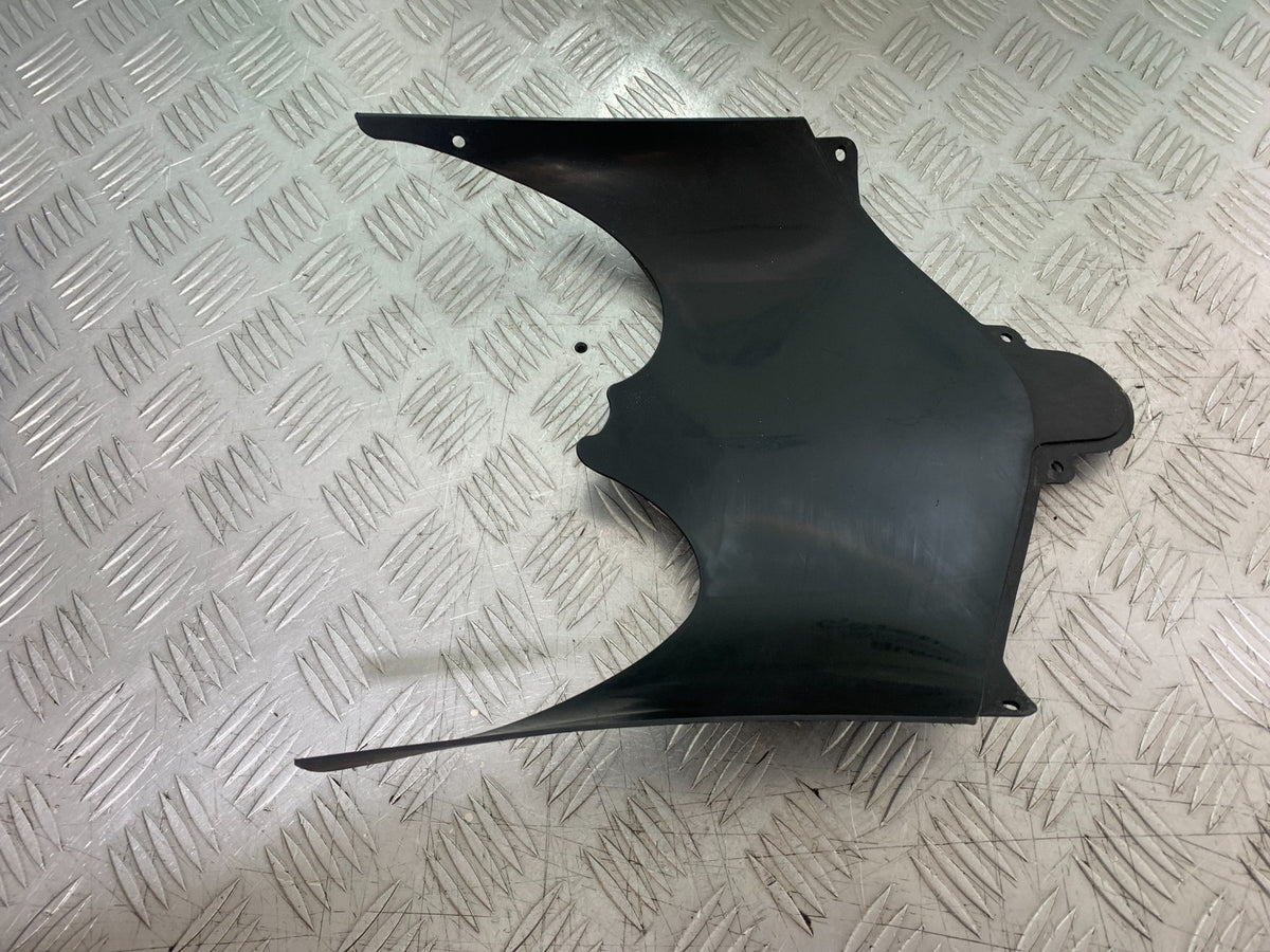 SUZUKI GSXR600 GSXR 600 K1 K2 K3 LOWER FAIRING INFILL  1999-03 (CMB1284)