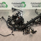 TRIUMPH 675 STREET TRIPLE RX WIRING LOOM  YEAR  2015-17 (STOCK 971)