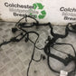 BMW R1250 R 1250 RT WIRING LOOM  YEAR 2023 (STOCK 907)