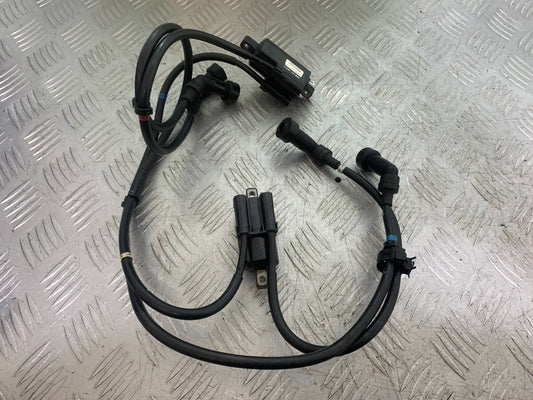 YAMAHA XJ900 XJ 900 DIVERSION COILS AND CAPS  YEAR 1994-2002(CMB1292)
