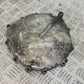 HONDA GL1800 GL 1800 OUTER CLUTCH COVER   YEAR 2004 ABS (STOCK 890)