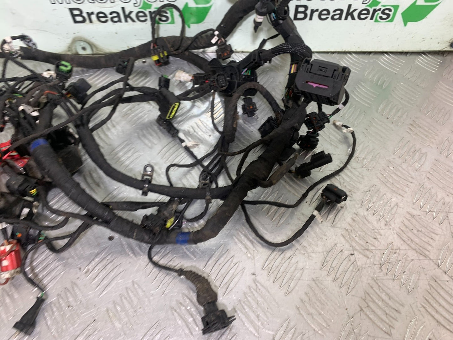 DUCATI 937 MONSTER WIRING LOOM   YEAR 2021-2024 (CMB1270)