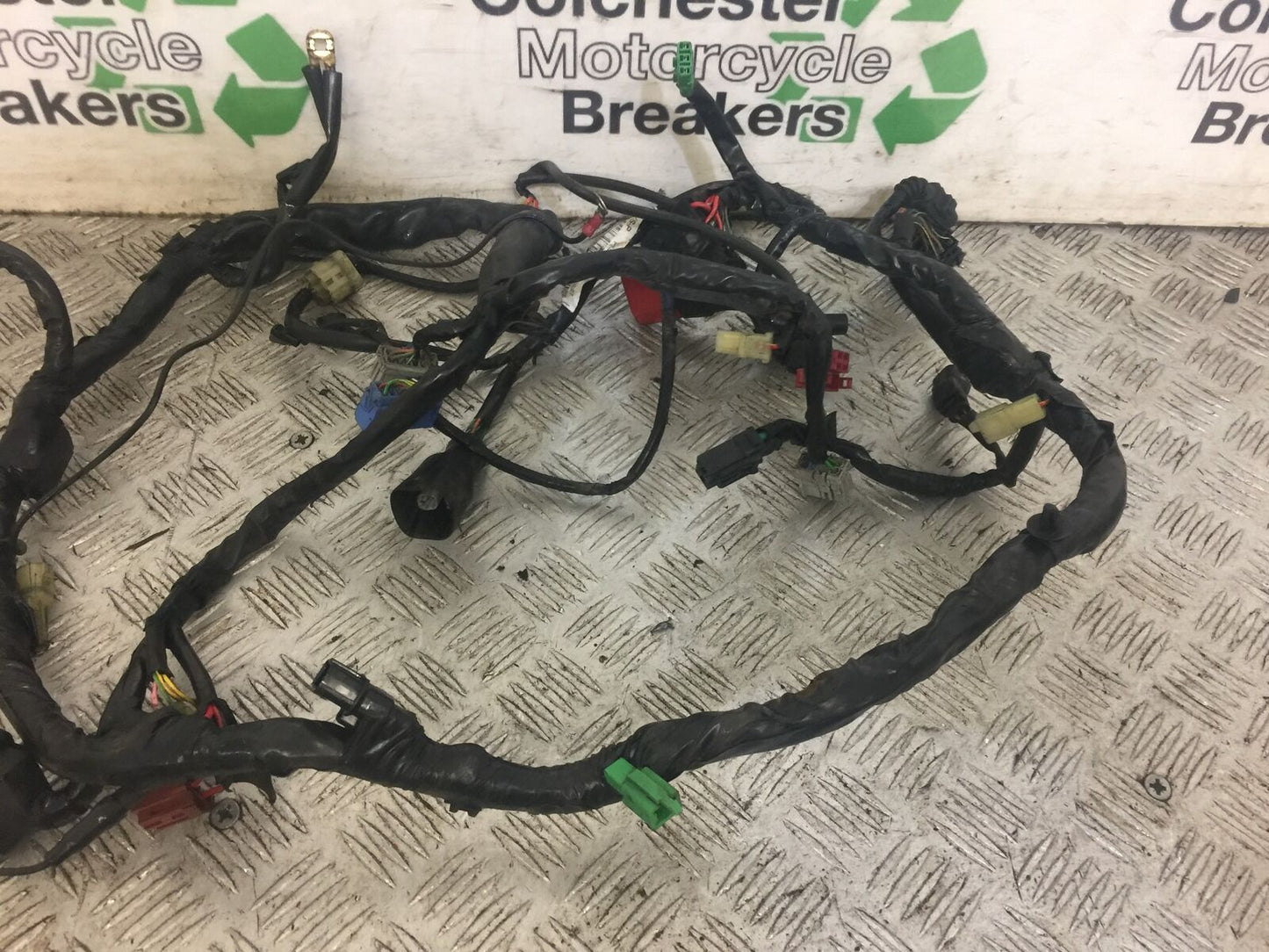 HONDA CB600 CB 600 F-8 HORNET WIRING LOOM   2010 (STOCK 669)