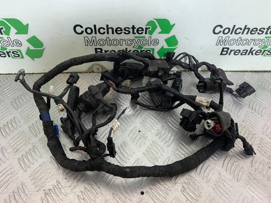 ROYAL ENFIELD HIMALAYAN 411 WIRING LOOM  YEAR 2018-2023 (CMB1279)