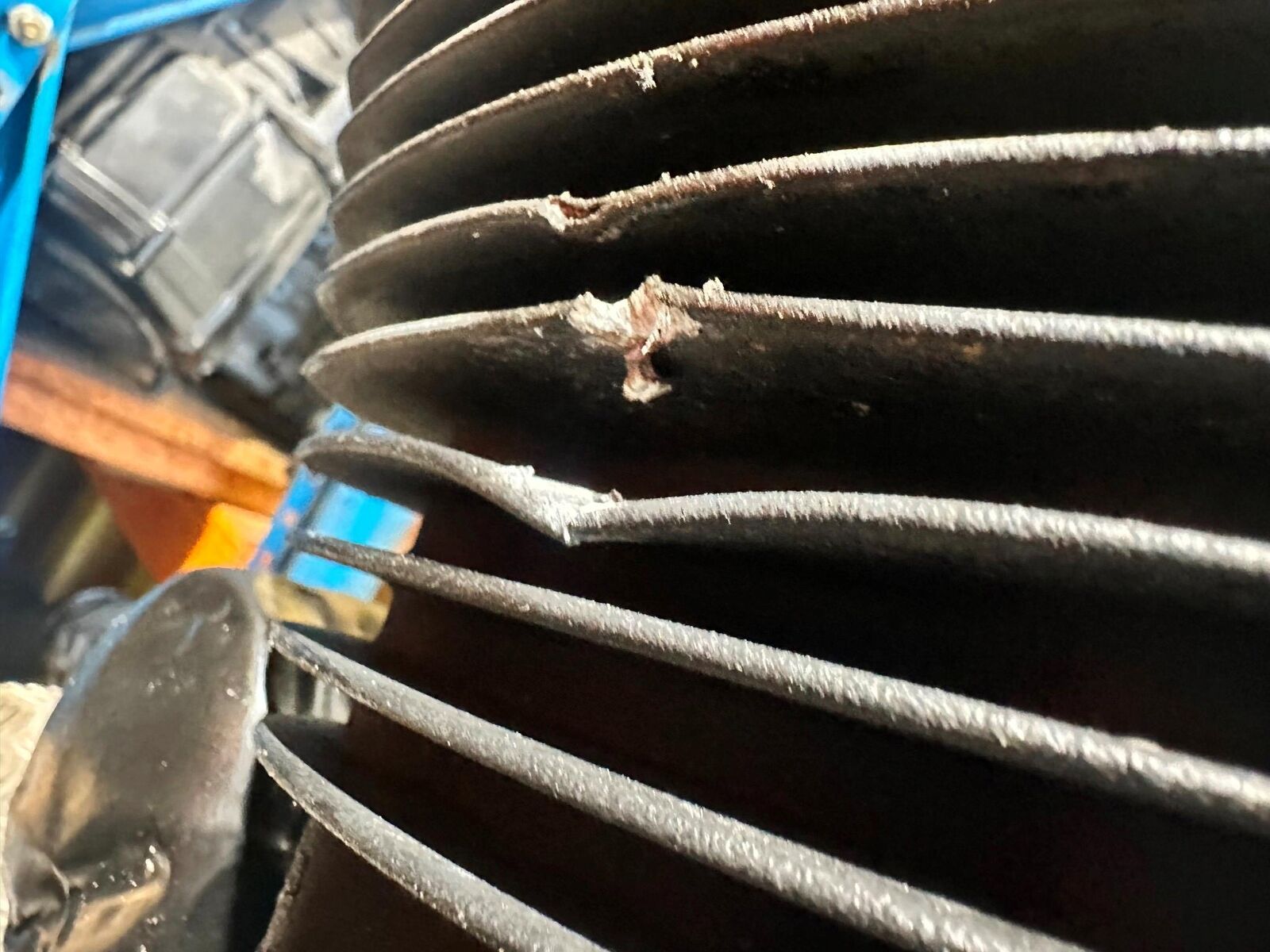 HARLEY DAVIDSON XL883 XL 883 N IRON ENGINE YEAR 2020 (CMB1116)