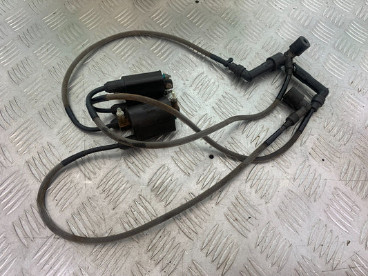 KAWASAKI VN1500 CLASSIC COILS AND CAPS    YEAR 1999 -2006 (CMB1166)
