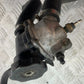 KAWASAKI ZZR1100 D THERMOSTAT  YEAR 1993-2001 (CMB1289)