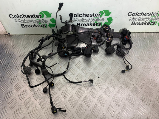 TRIUMPH 675 STREET TRIPLE RX WIRING LOOM  2015- 2017 (CMB1299)
