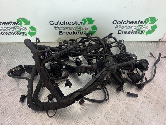 BMW M1000 R WIRING LOOM  YEAR 2023-2024 (CMB1140)