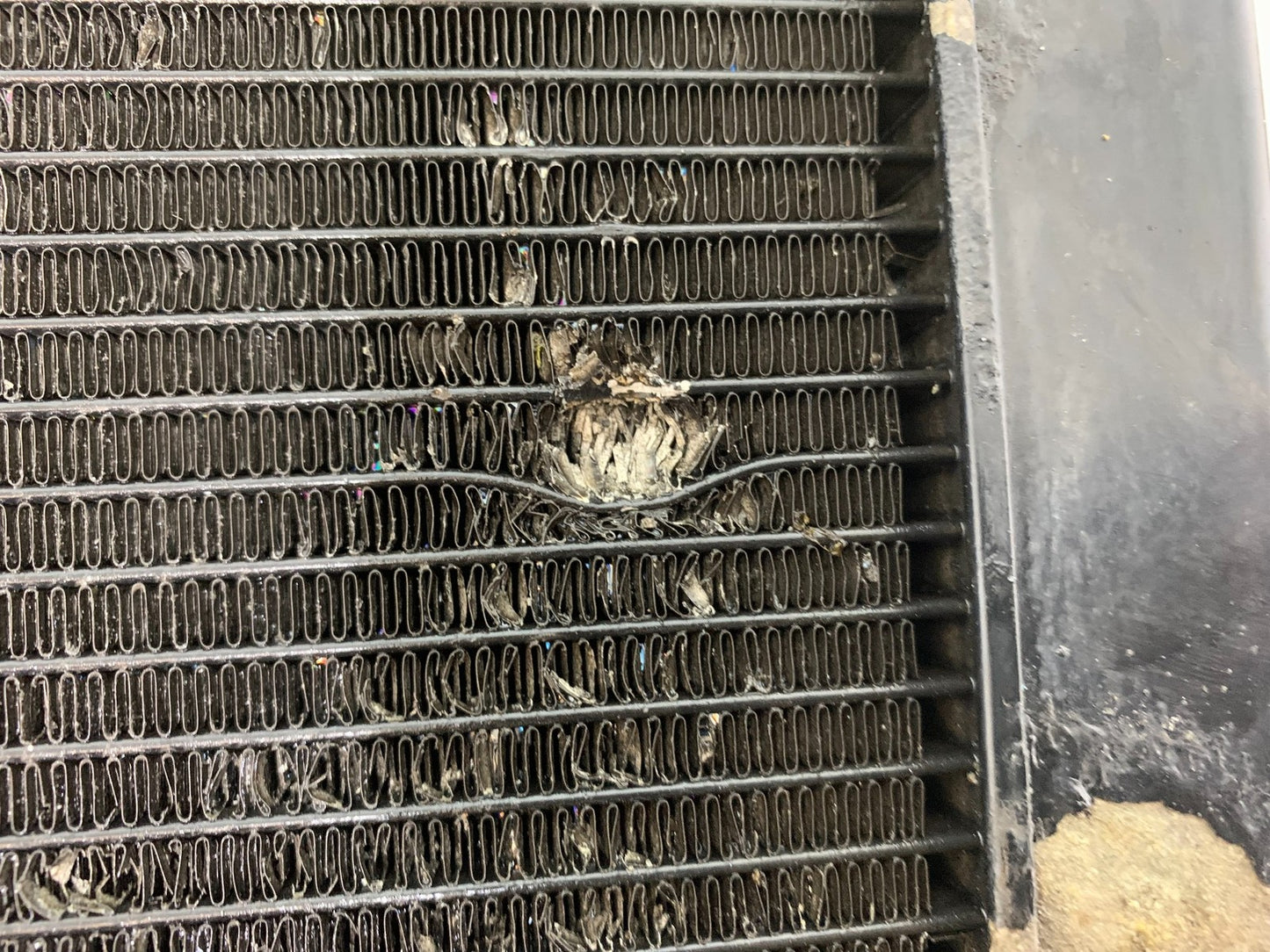 HONDA CBF600 CBF 600 RADIATOR AND FAN YEAR 2004 -07 (CMB1247)
