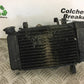 YAMAHA MT 125 MT125 RADIATOR  YEAR 2015