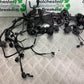 TRIUMPH 675 STREET TRIPLE RX WIRING LOOM  2015- 2017 (CMB1299)