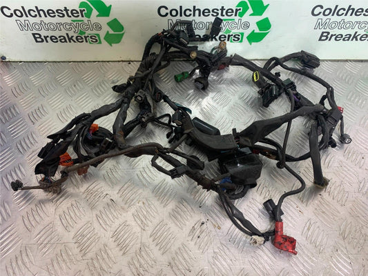 HONDA CB500 F CB500F WIRING LOOM  YEAR 2013-2015  (CMB1235)
