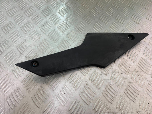 TRIUMPH 955i DAYTONA INFILL PANEL YEAR 2002-2006 (CMB1229)