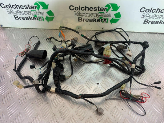 HONDA CBR125 CBR 125 WIRING LOOM  YEAR 2007-10 (CMB1004)