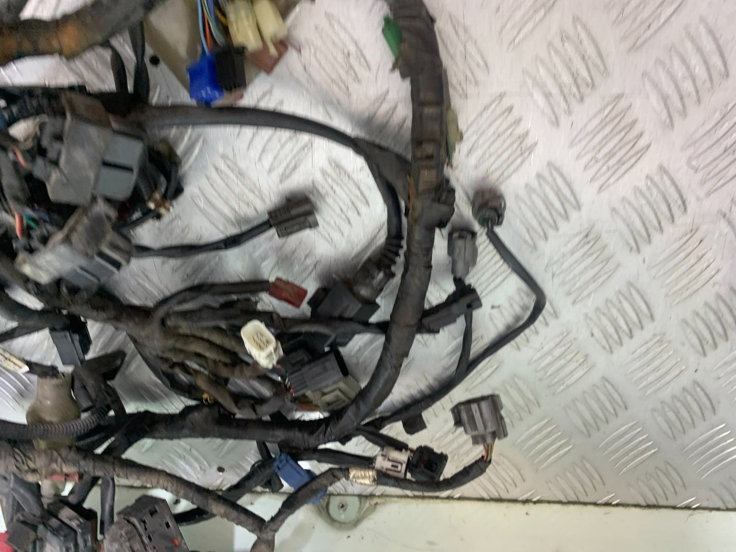 HONDA CBF600 CBF 600 WIRING LOOM YEAR 2004-07  (CMB1305)