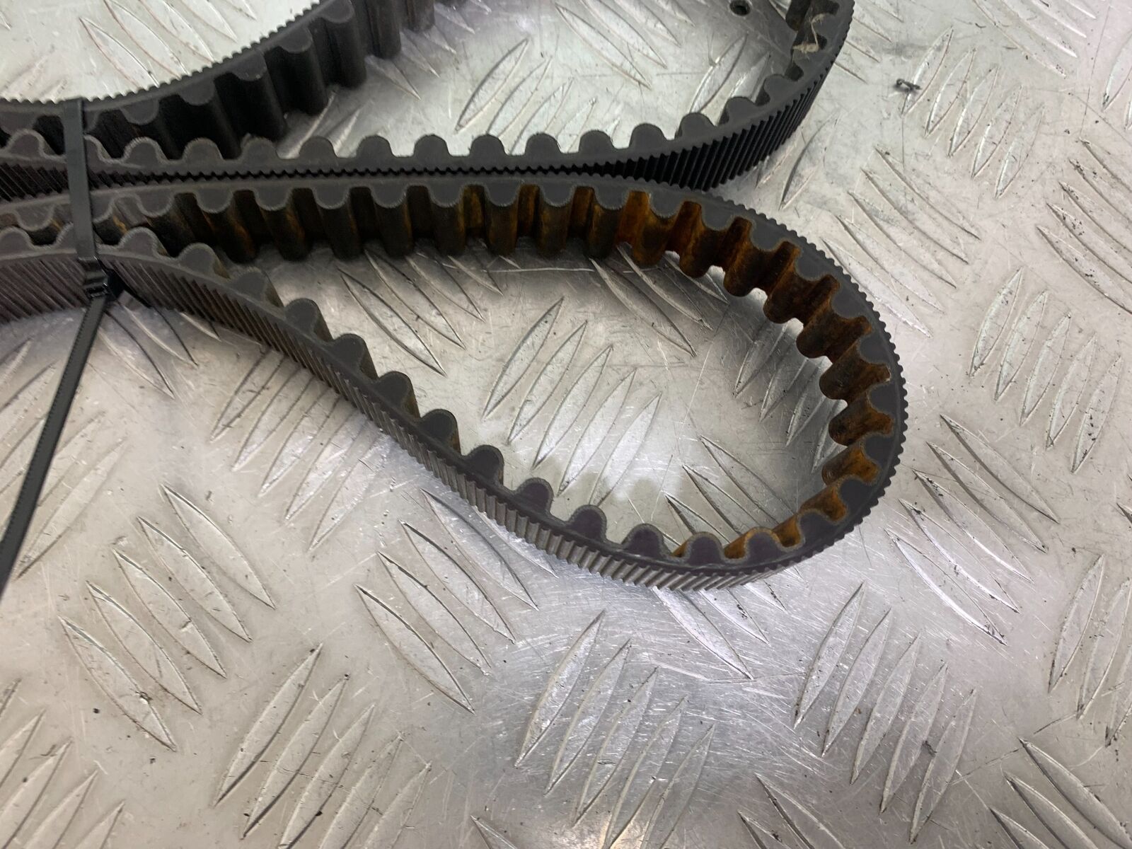 HARLEY DAVIDSON XL883 N IROD DRIVE BELT  YEAR 2020  (CMB1116)