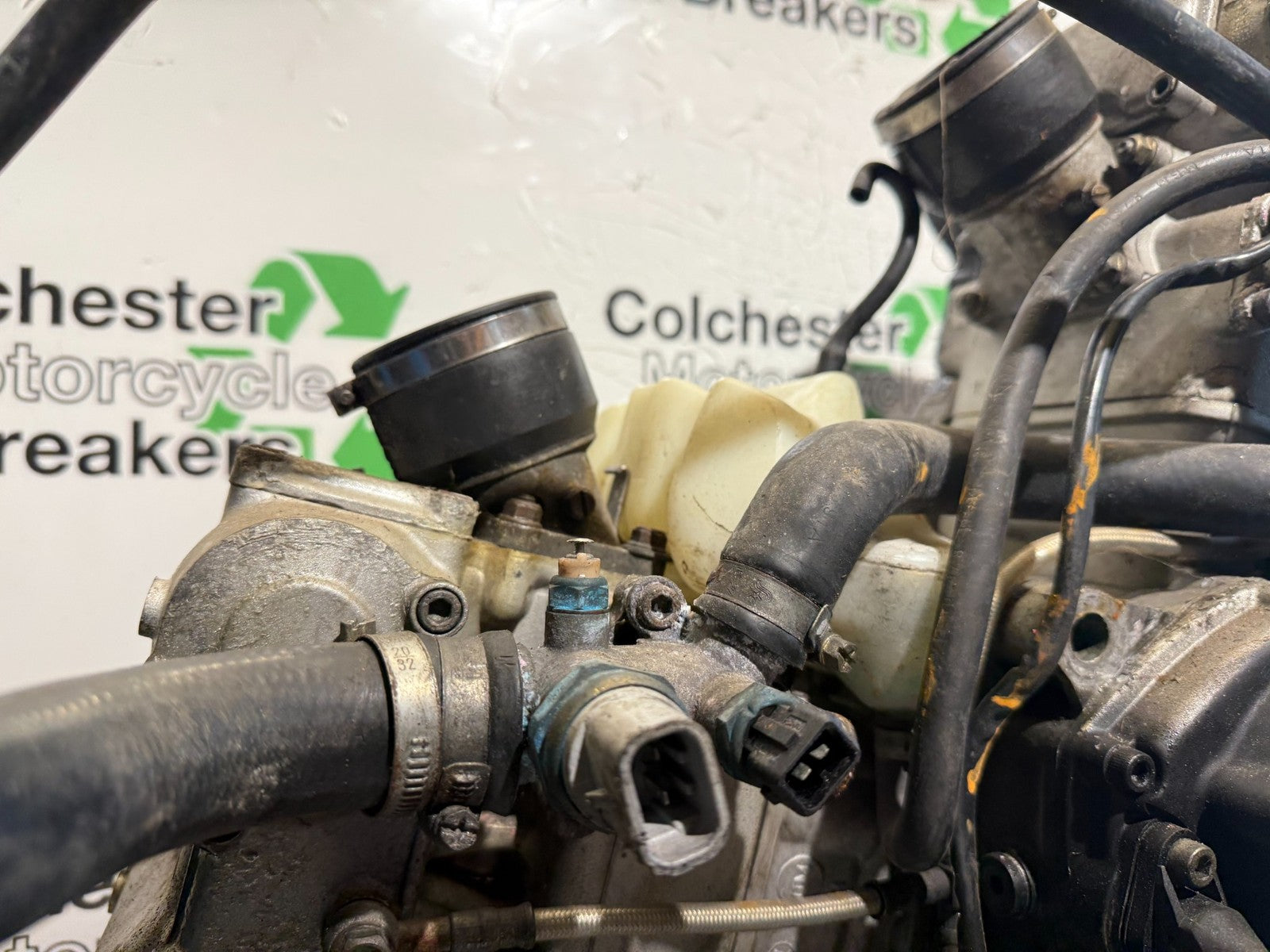 DUCATI 996 SPS SPORTS PRODUCTION SPECIAL ENGINE YEAR 1999-2000 (CMB1209)
