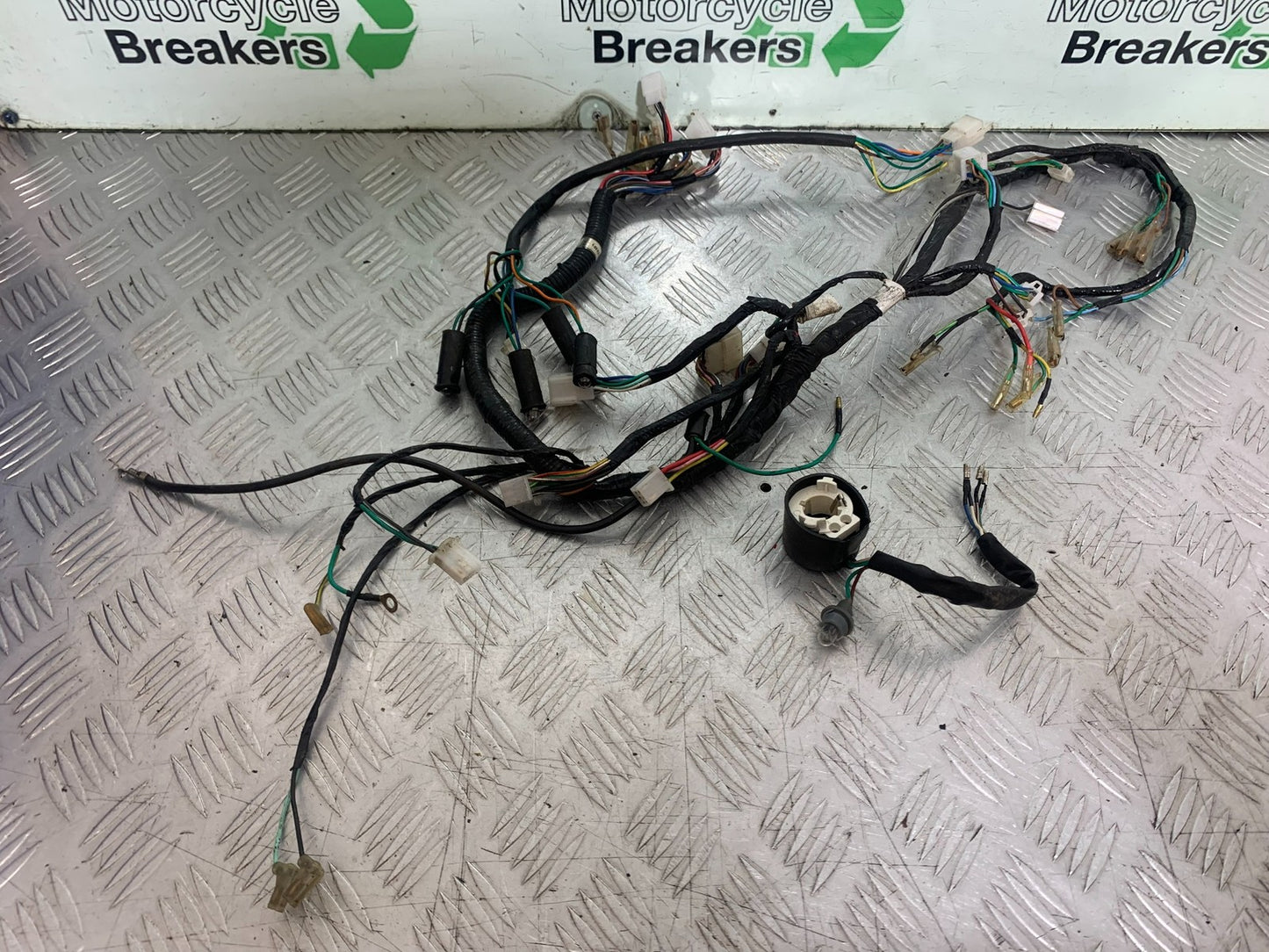 PIONEER NEVADA XF125 WIRING LOOM YEAR 2009 (CMB1214)