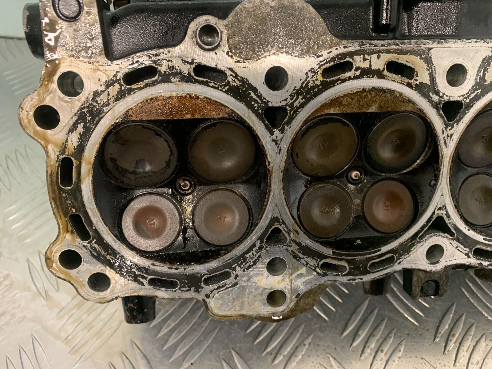 HONDA CBR1100 BLACKBIRD CYLINDER HEAD   YEAR 1999-05 (STOCK 961)