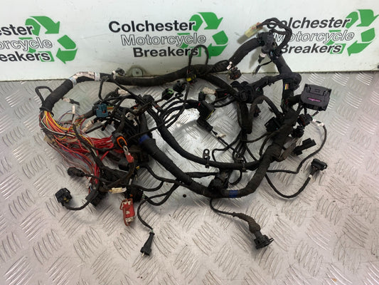 DUCATI 937 MONSTER WIRING LOOM   YEAR 2021-2024 (CMB1270)